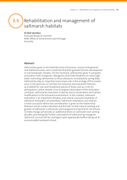 3.05 Rehabilitation and management of saltmarsh habitats
