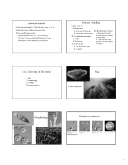 Announcements Protists - Outline I.A. Diversity of life styles Size