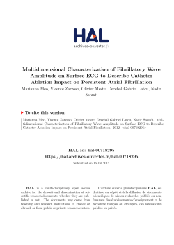 Multidimensional Characterization of Fibrillatory Wave Amplitude on