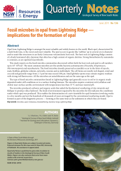 Fossil microbes in opal from Lightning Ridge