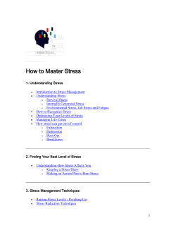 How to Master Stress
