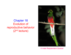 Chapter 18 Evolution of reproductive behavior (2nd lecture)
