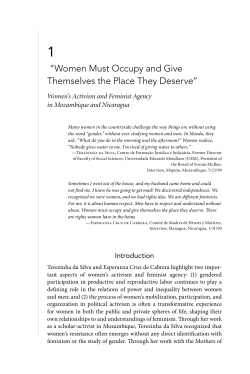 Women`s Activism and Feminis Agency in Mozambique and Nicaragua