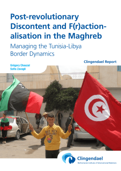 Post-revolutionary Discontent and F(r)action