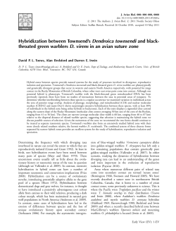 Hybridization between Townsend`s Dendroica