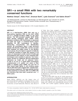 SR1&mdash;a small RNA with two remarkably conserved functions