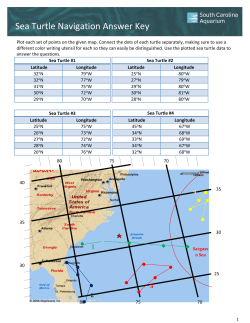 Sea Turtle Navigation Answer Key