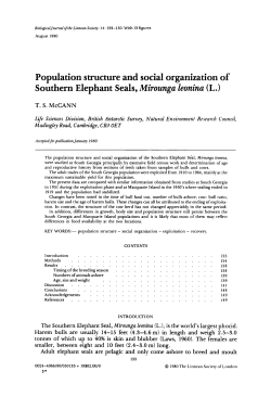 Population structure and social organization of Southern Elephant