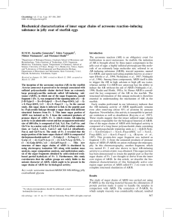 Biochemical characterization of inner sugar chains