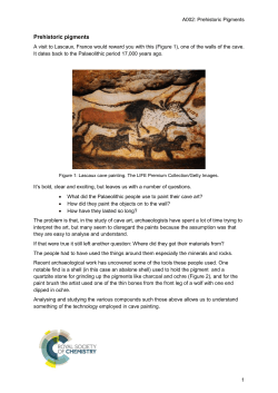 Prehistoric pigments - Royal Society of Chemistry