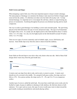 Field Crowns and Slopes