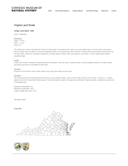 Mollusks : Carnegie Museum of Natural History