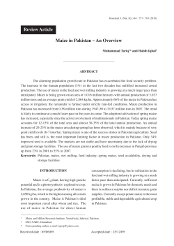 Maize in Pakistan &ndash; An Overview