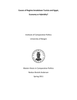 Causes of Regime breakdown Tunisia and Egypt, Economy or