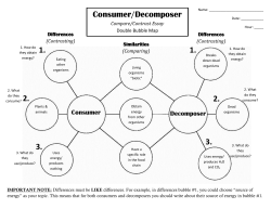 Consumer-Decomposer Double Bubble *COMPLETED