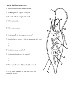 . Answer the following questions: 1. Are euglena unicellular or