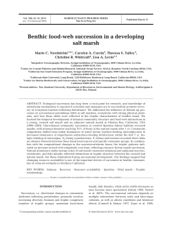 Benthic food-web succession in a developing salt marsh