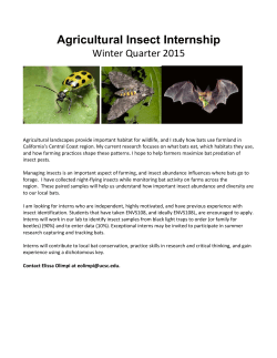 Agricultural Insect Internship