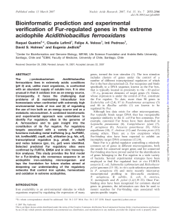 Bioinformatic prediction and experimental verification of Fur