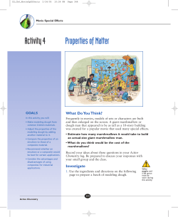 Activity 4 Properties of Matter