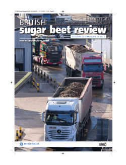 sugar beet review