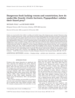 (Lialis burtonis, Pygopodidae) subdue their lizard prey