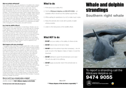 9474 9055 Whale and dolphin strandings