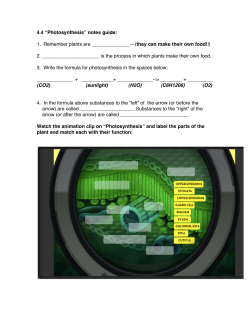 4.4 &ldquo;Photosynthesis&rdquo; notes guide: 1. Remember plants are --