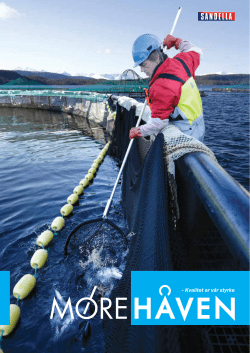 Kvalitet er v&aring;r styrke