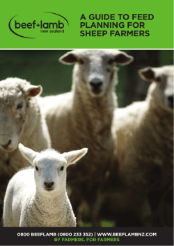 A guide to feed planning for sheep farmers