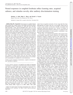 Neural responses in songbird forebrain reflect learning rates