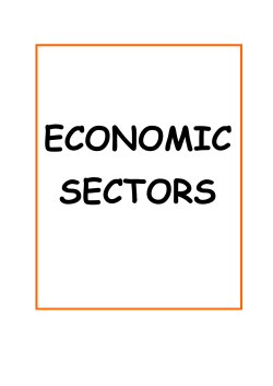 economic sectors in Madrid