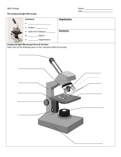 The Compound Light Microscope Summary