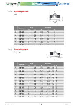 1700 1800 BSP Adaptors