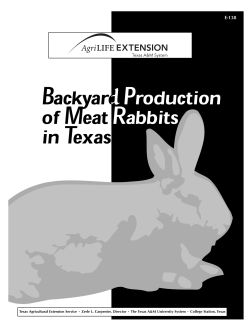 Backyard Production of Meat Rabbits in Texas