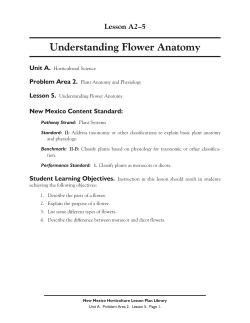 Understanding Flower Anatomy