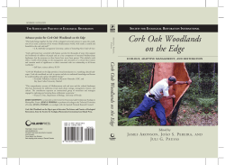 Cork Oak Woodlands On the Edge