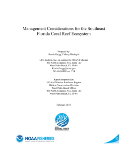 Management Considerations for the Southeast Florida Coral Reef
