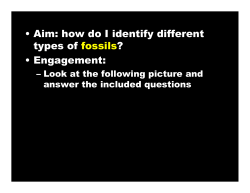 Aim: how do I identify different types of fossils?