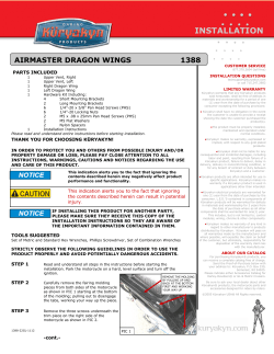 AIRMASTER DRAGON WINGS 1388