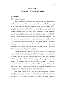 chapter v imagery and symbolism