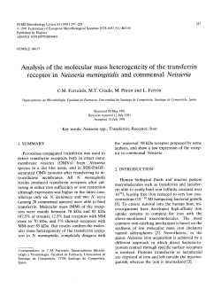 Analysis of the molecular mass heterogeneity of the transferrin
