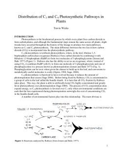 Distribution of C3 and C4 Photosynthetic Pathways in Plants