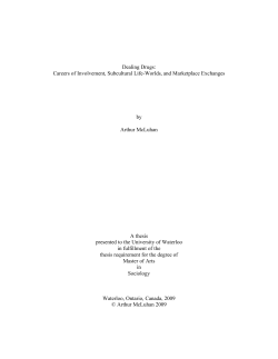 Dealing Drugs: Careers of Involvement, Subcultural Life