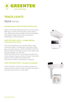 TRACK LIGHTS Hunt series