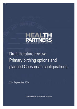 Draft literature review: Primary birthing options and planned