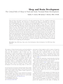 Sleep and Brain Development: The Critical Role