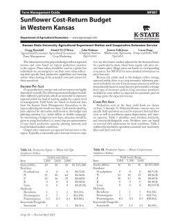 MF887 Sunflower Cost-Return Budget in Western
