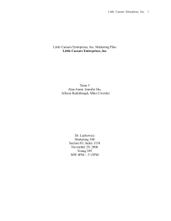 Little Caesars Enterprises, Inc. Marketing Plan