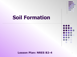 Soil Formation